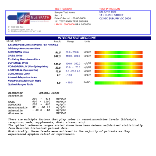 neurotransmitter sample report